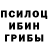 Галлюциногенные грибы прущие грибы Yan Nikitin
