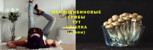 apvp Верхний Тагил