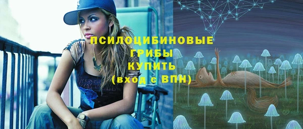 прущие крисы Верея
