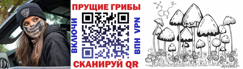 Галлюциногенные грибы Magic Shrooms Горнозаводск